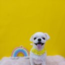 상일축산 이미지