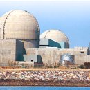 수정-111 이미지