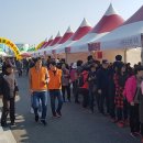 구룡포 과메기 아이뉴스24