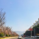 모비딕부동산중개 네이버블로그