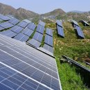 숲 태양광발전소 이미지