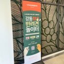우리유치원 | [공지] [강동구/천호] 교육 유치원까지 있는 프리미엄 서울애견호텔 추천!! 오십케이강동그란츠직영점...