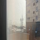 하운드 송정 이미지