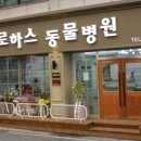 로하스동물병원 이미지