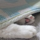 안녕옥이발관 이미지