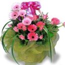 시니어아카데미 이미지