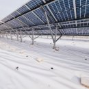 제일솔라 태양광발전소 이미지