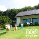 위드제이(WITH J) | [위드제이(with J)] 횡성 680평 끝없는 마당이 있는 독채 애견펜션 - 2탄(Feat. 손이 너무너무 큰 사장님)