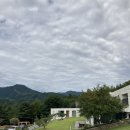 포레스트 소울