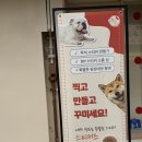 무인샵룰루랄라 | 동명동 데이트 코스 강추! 요즘 제일 핫한 '스티커즈 동명점'에서 나만의 굿즈 만들고 왔어요 💖(+👶 아기...