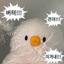 남산유치원 | 4월 결산: 인류애 탈탈탈 보스몹 격파중 (feat. 6세 아이와 아찔한 남산 등반)