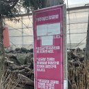 제주카페 | 대만족 감귤 수제청 만들기 체험 제주에인감귤밭 방문 후기