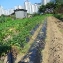 신토불이체험학습