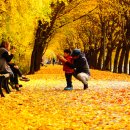 이태원로(서측) 이미지