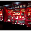 우석헌자연사박물관 이미지