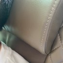 세라젬 신세계백화점 본점 이미지