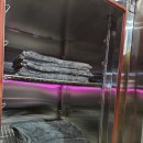 디케이워시구암점 이미지