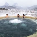 홍삼마을 - 북구 | 홍삼마을