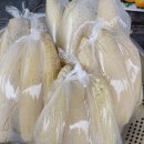 현대컴퓨터세탁소 이미지