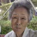 극락초교 이미지