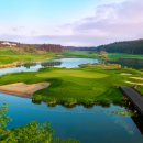 나인브릿지골프클럽(회원제) 이미지