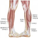 모션업PT 이미지