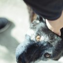 천운식당 이미지