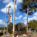 달맞이 흑두부 이미지