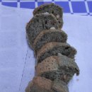 선두구동 주민센터 이미지