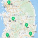 낭만펫 강아지분양 고양이분양 대전 본점 네이버블로그