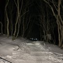 (주)대일택시 | 한라산 등반 준비부터 후기까즤+숙소 추천 (성판악코스 / 등산 일자 : 2026.01.24)