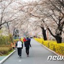 중랑천 제4체육공원 이미지