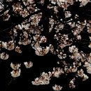 용지호수공원 이미지