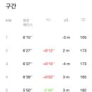 2024 대청호 벚꽃길 마라톤 대회 이미지