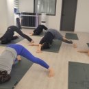 필라테스요가하다필요하다 - 강서구 명지국제8로 259 | 필라테스요가하다필요하다