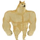 더 리얼 피티 네이버블로그