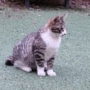 라일락휴게소 이미지