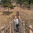 삼선산수목원 숲속도서관 | 당진 삼선산수목원 산책 후기, 사계절 힐링 명소로 딱!