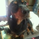 대전대흥초등학교 이미지