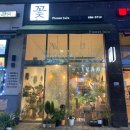 쥬쥬(JUJU) | [평택 청북 꽃집] 플라워JUJU 주주? 쥬쥬? | 내돈내산 솔직후기 | 25년 10월 방문 | 1만5천원 소국...