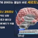 나이스카