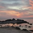 콩이네 민박 이미지