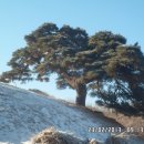 적상면023 Daum카페