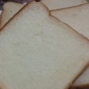 네모토스트 이미지