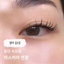 W뷰티 - 성북구 | 동탄 속눈썹 마스카라 연장 ‘W뷰티’ 후기 (feat. 첫 방문 만원 할인)
