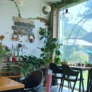 비오람요양병원 이미지