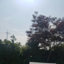 삼성떡집 네이버블로그