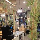 스시노백쉐프평택송탄점 | 평택 / 스시노백쉐프 평택 송탄 43호점