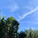 내안의숲 이미지