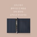코지스 직썰